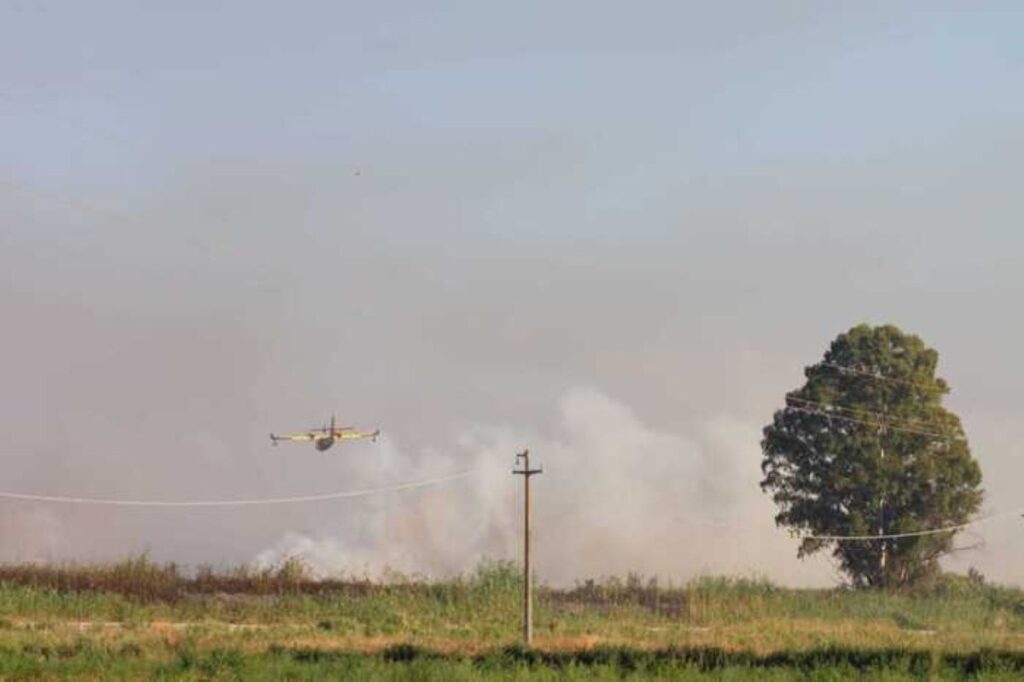 Incendio Lago Salso