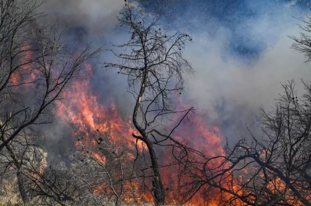 Incendio Marsiglia