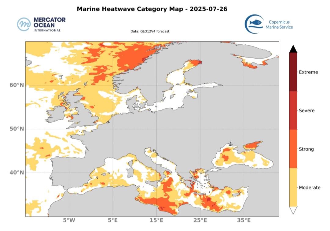 Marine heatwave luglio 2025 Copernicus