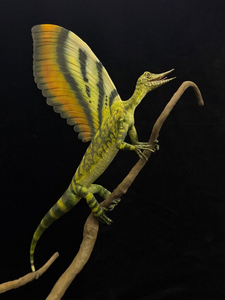 Mirasaura grauvogeli