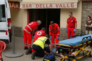 Morto puntura calabrone