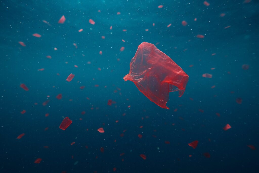 Nanoplastiche Atlantico