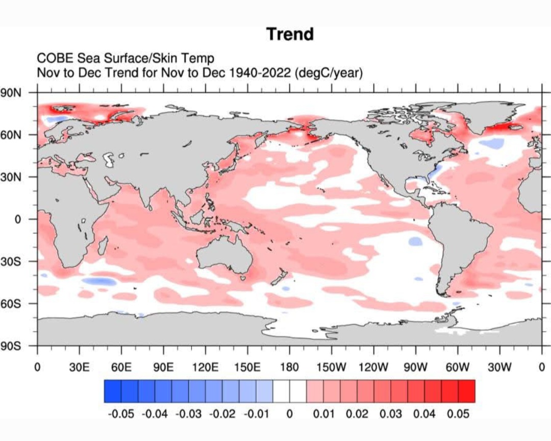 La Niña COBE sst