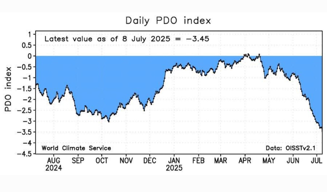 PDO 2025