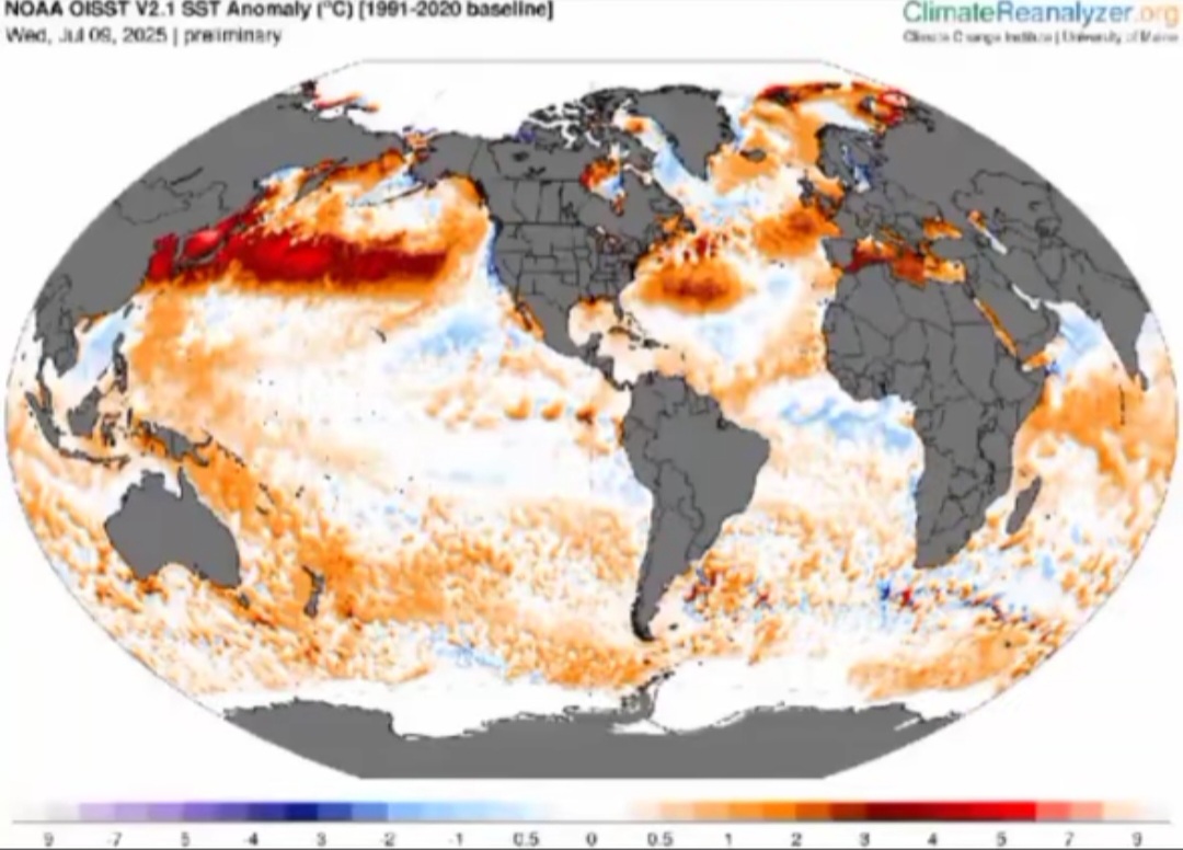 SST anomalie oceani