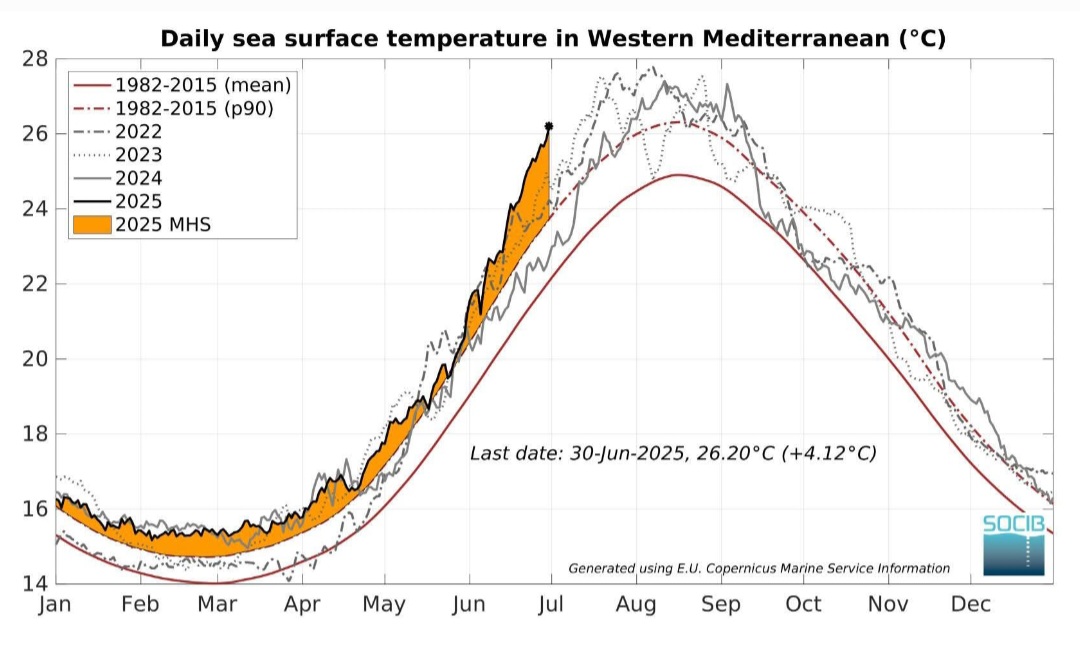 SST Mar Mediterraneo