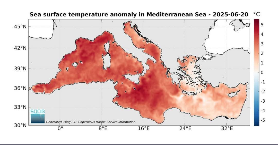 Temperature Mediterraneo 20 giugno 2025