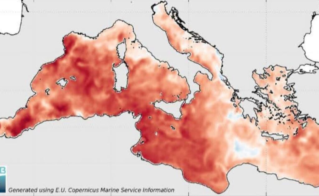 Temperature Mediterraneo 14 luglio 2025