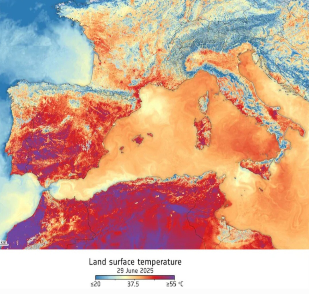 Temperature superficie terrestre ESA