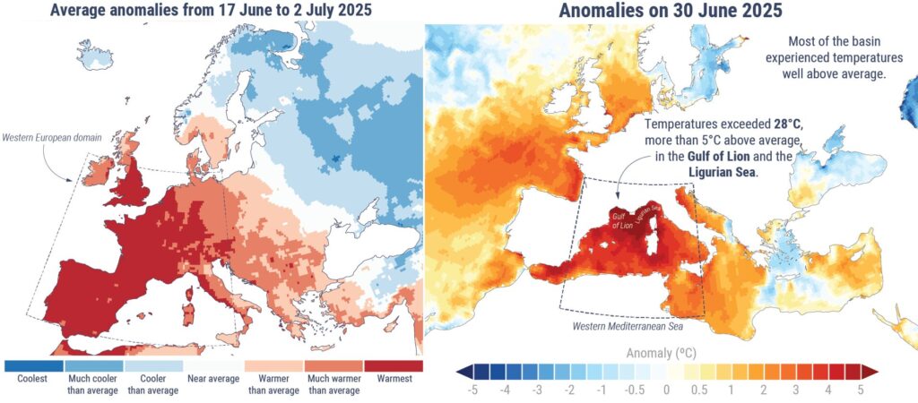 anomalie giugno 2025