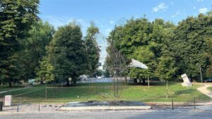 balena triennale