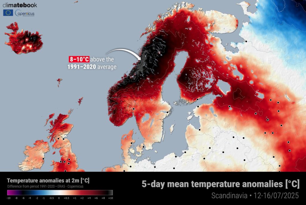 caldo scandinavia