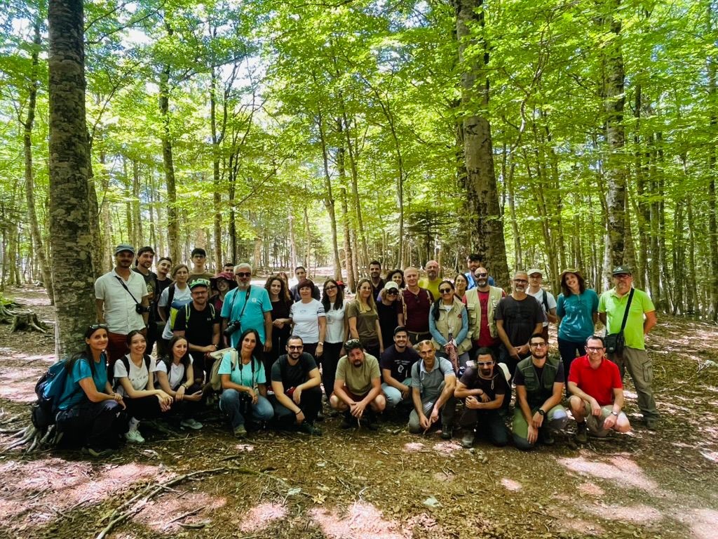 escursione aspromonte