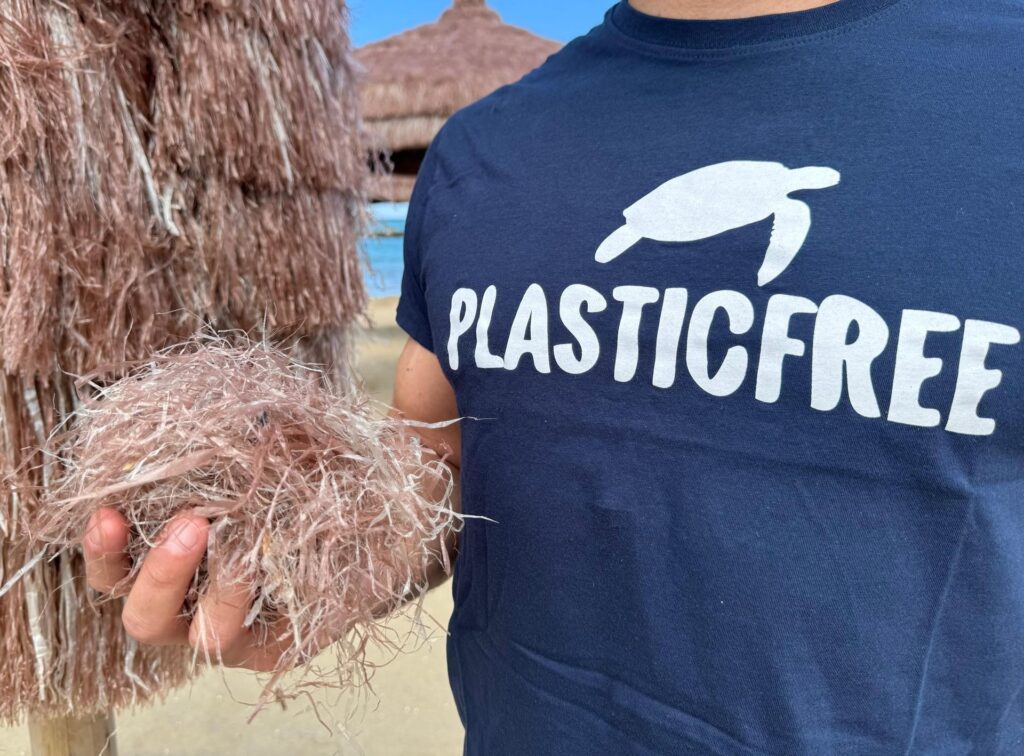 francavilla al mare plastica