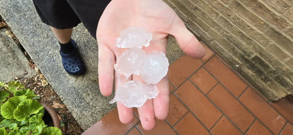 grandine montelupone marche