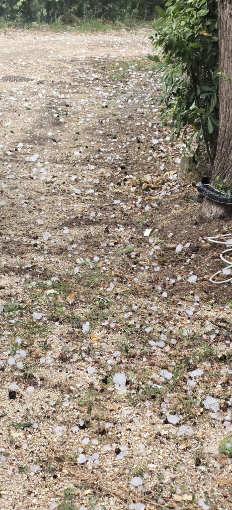 grandine montelupone marche