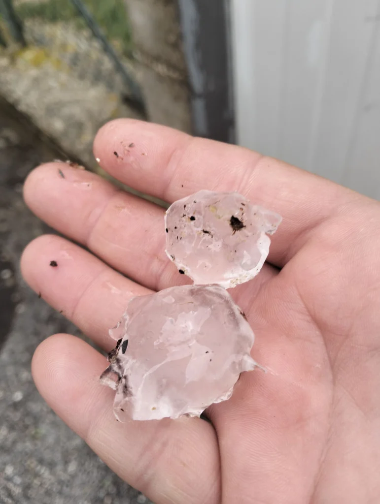 grandine montelupone marche