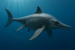 ichthyosauro