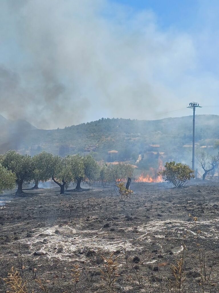incendi abruzzo