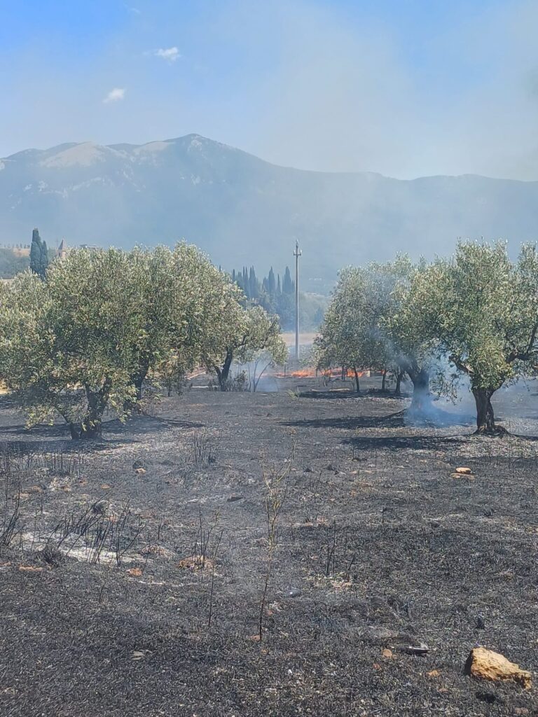 incendi abruzzo