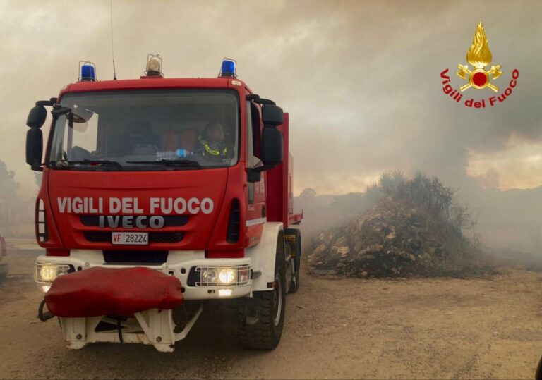 incendi boschivi vigili del fuoco generica