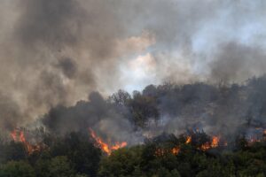 incendi Macedonia