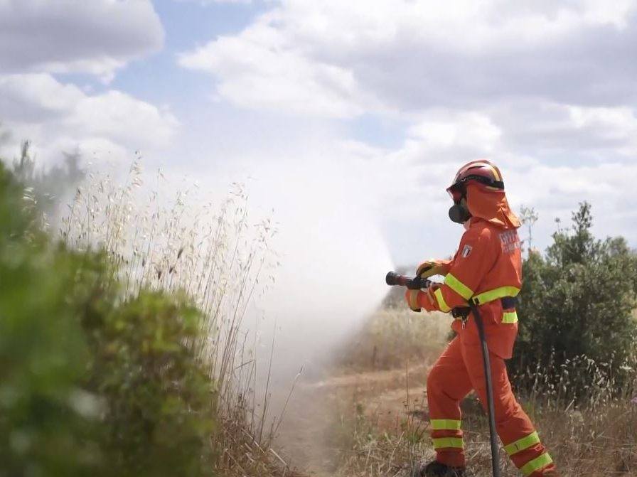incendi metaponto basilicata