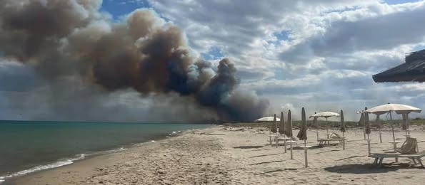 incendi metaponto basilicata