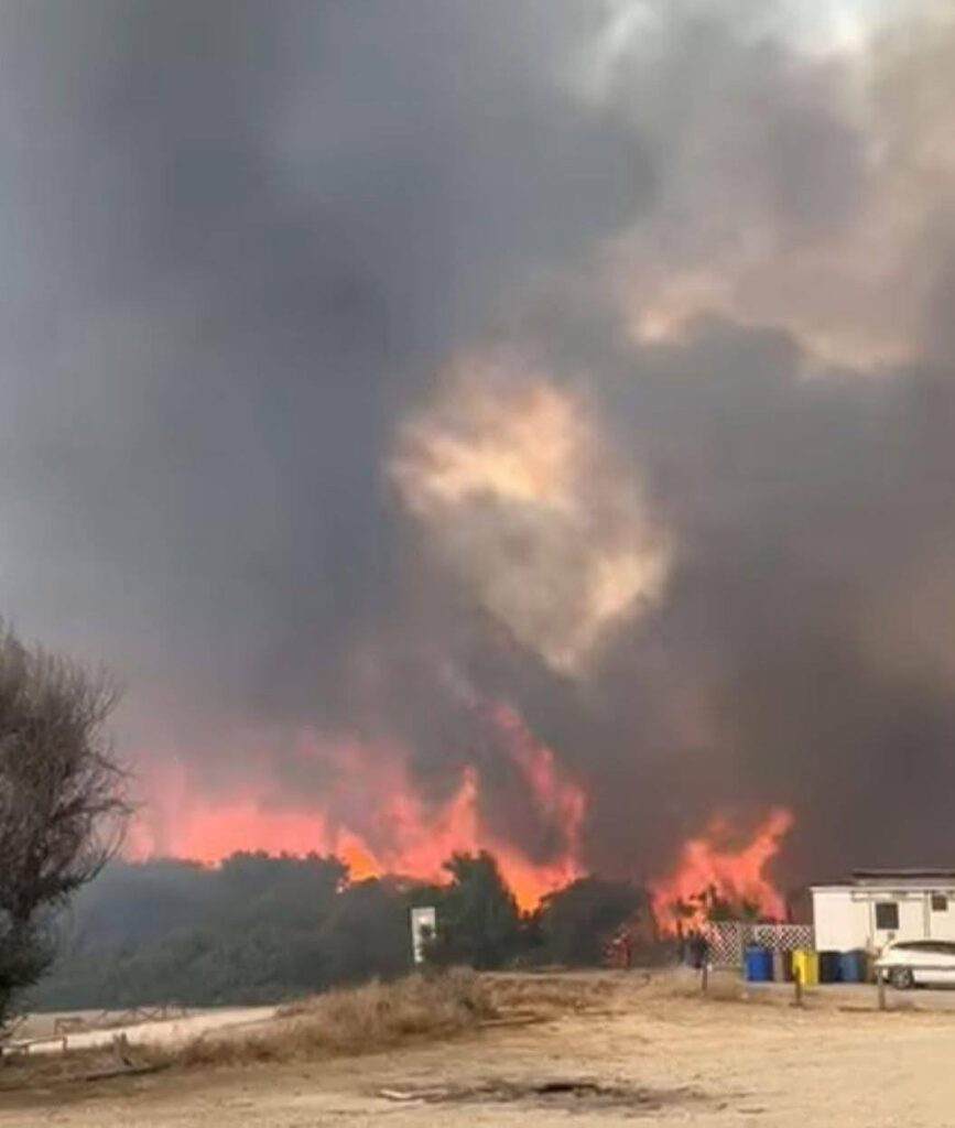 incendi metaponto basilicata