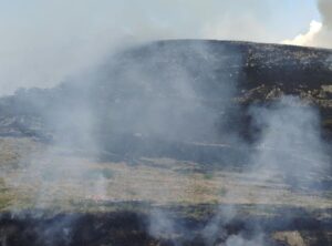 incendi molise agnone