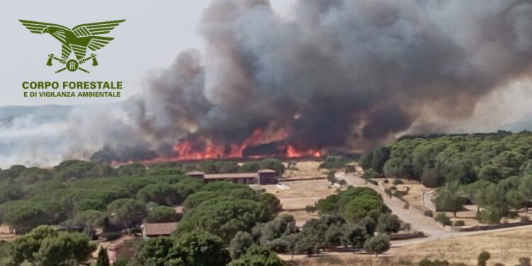incendi sardegna