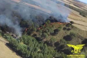 incendi sardegna