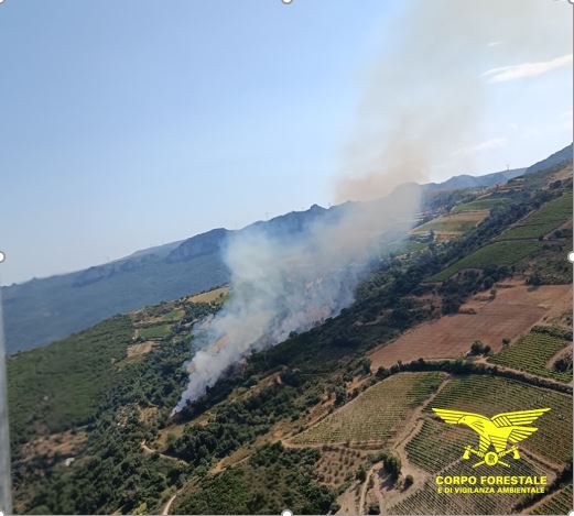 incendi sardegna