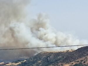 incendi sardegna