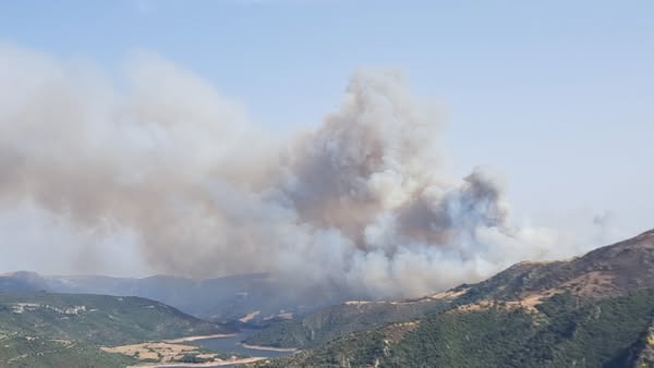 incendi sardegna