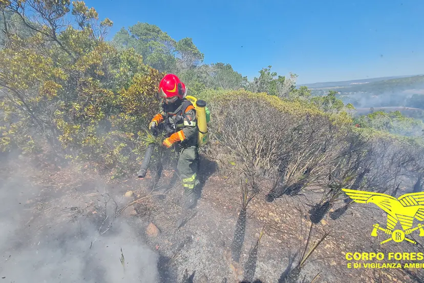 incendi sardegna
