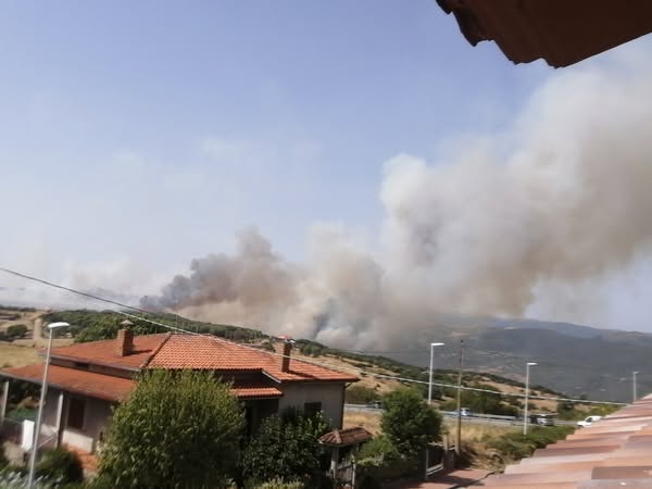 incendi sardegna
