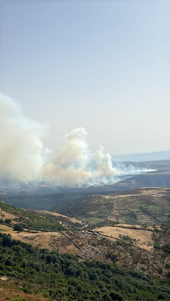 incendi sardegna