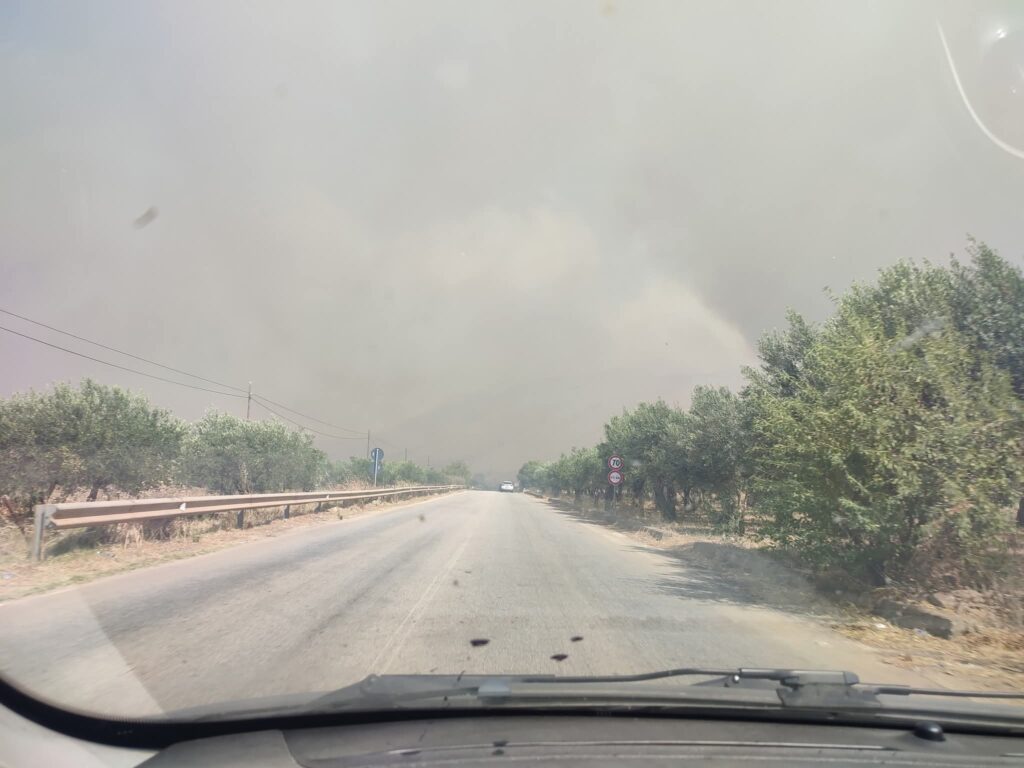 incendi sicilia