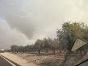 incendi sicilia