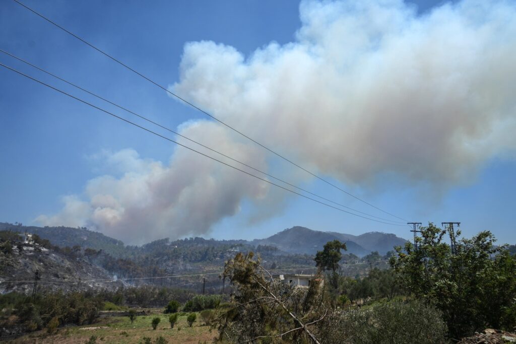 incendi siria