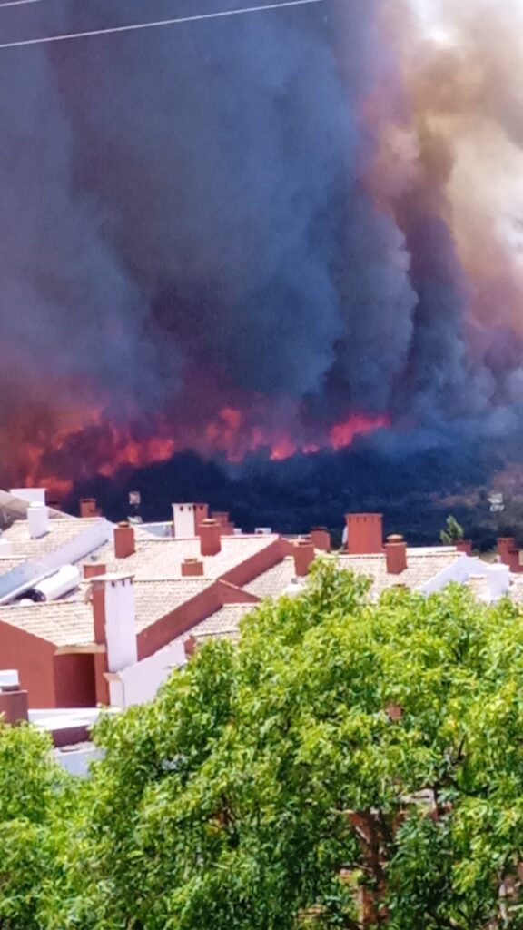 incendio Algeciras spagna
