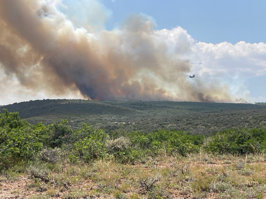 incendio Black Canyon