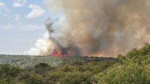 incendio Black Canyon