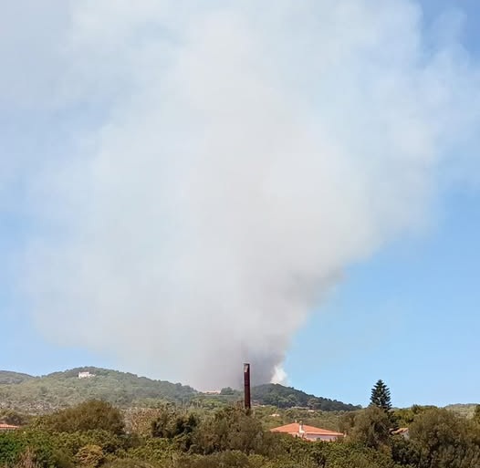 incendio Carloforte sardegna