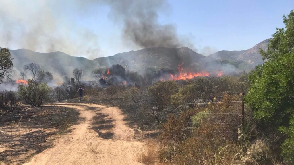 incendio Loiri Porto San Paolo sardegna