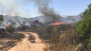 incendio Loiri Porto San Paolo sardegna