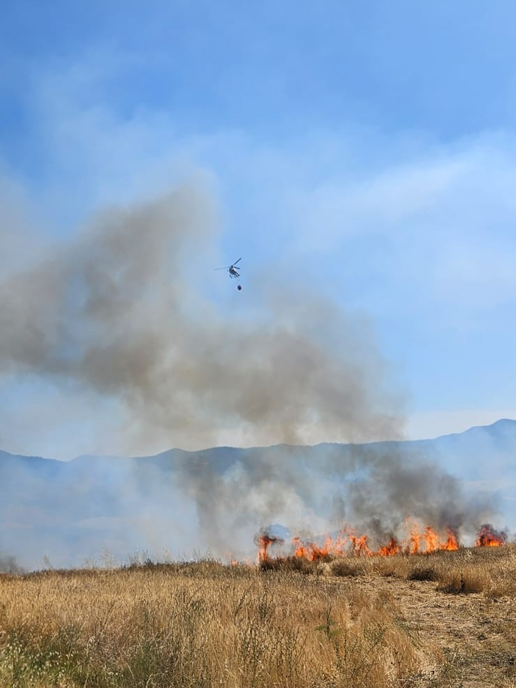 incendio Montegemoli toscana