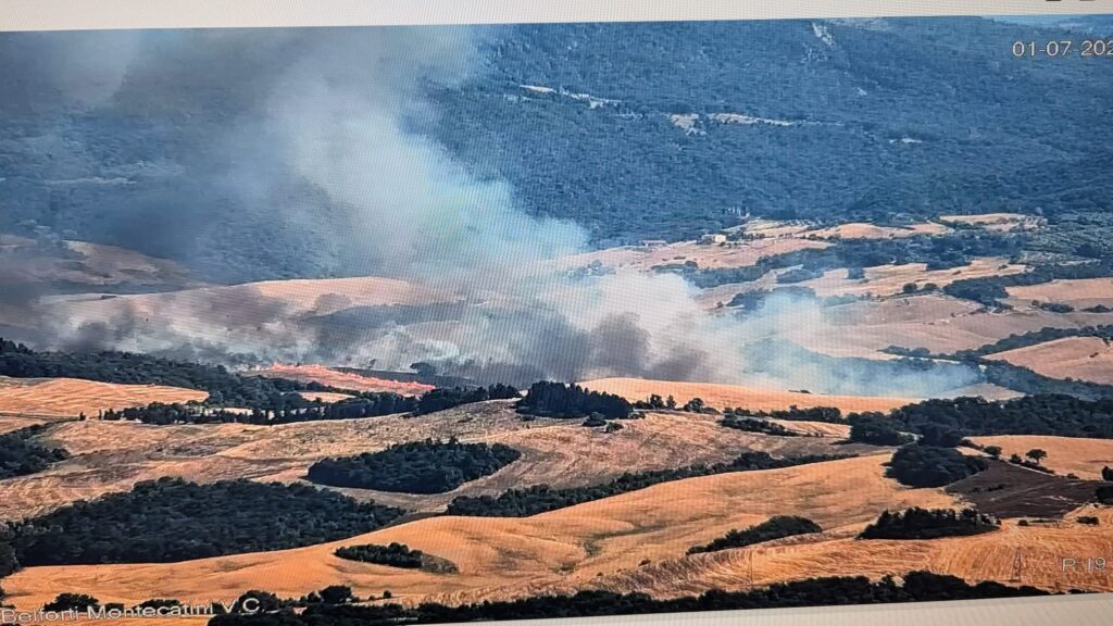 incendio Montegemoli toscana