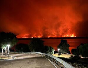 incendio Valdecaballeros spagna